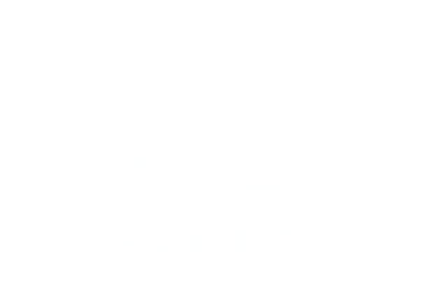 CISCO. Partner