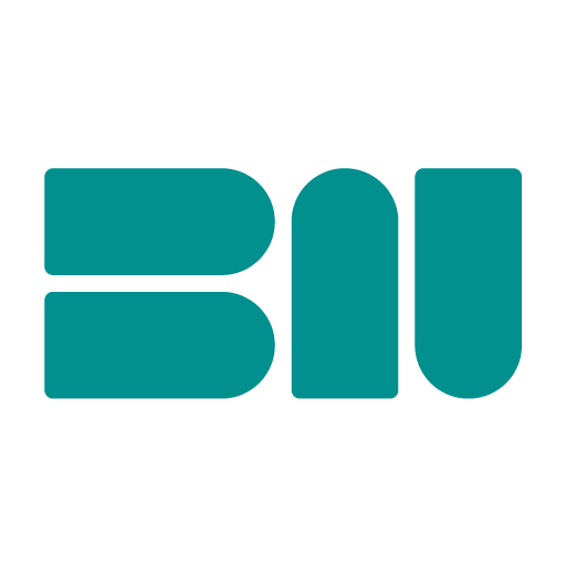 Logo BN